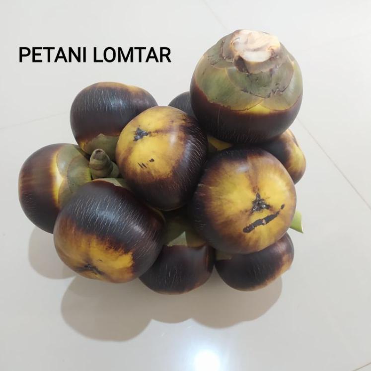 

TERBARU BUAH LONTAR / SIWALAN 1 buah bulat ( isi 3 biji )