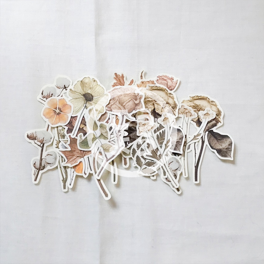 

34 pcs Stiker Gambar Bunga Kering untuk Jurnal / Scrapbook (Pack P)