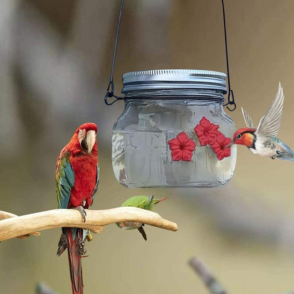 Solighter Bird Water Feeder Outdoor Botol Tempat Makan Gantung Burung Dekorasi Taman Port Makan