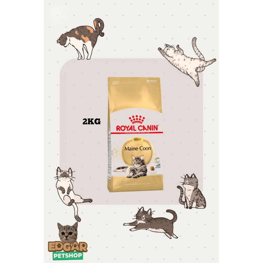 Royal Canin Mainecoon Adult 2kg
