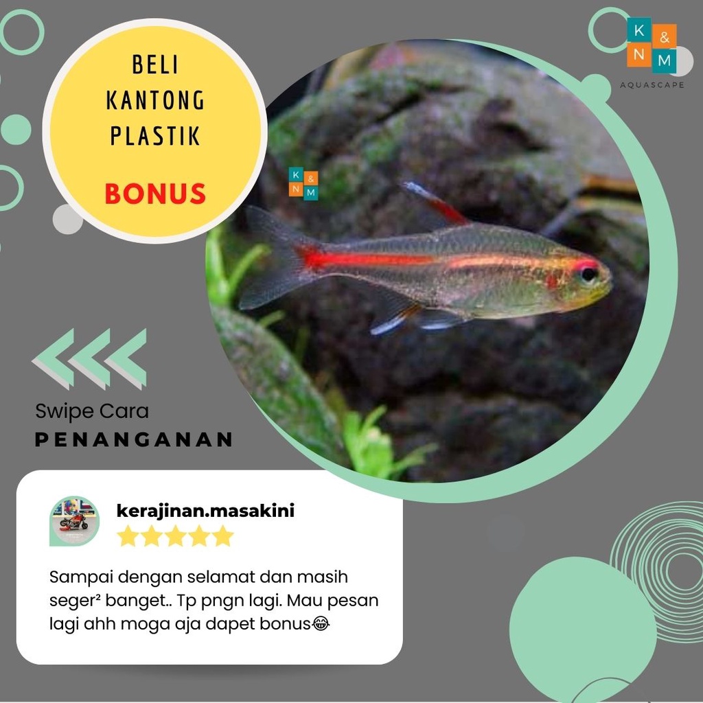 Kantong Plastik Free Neon Api Ornamen Aquarium Aquascape Akuarium