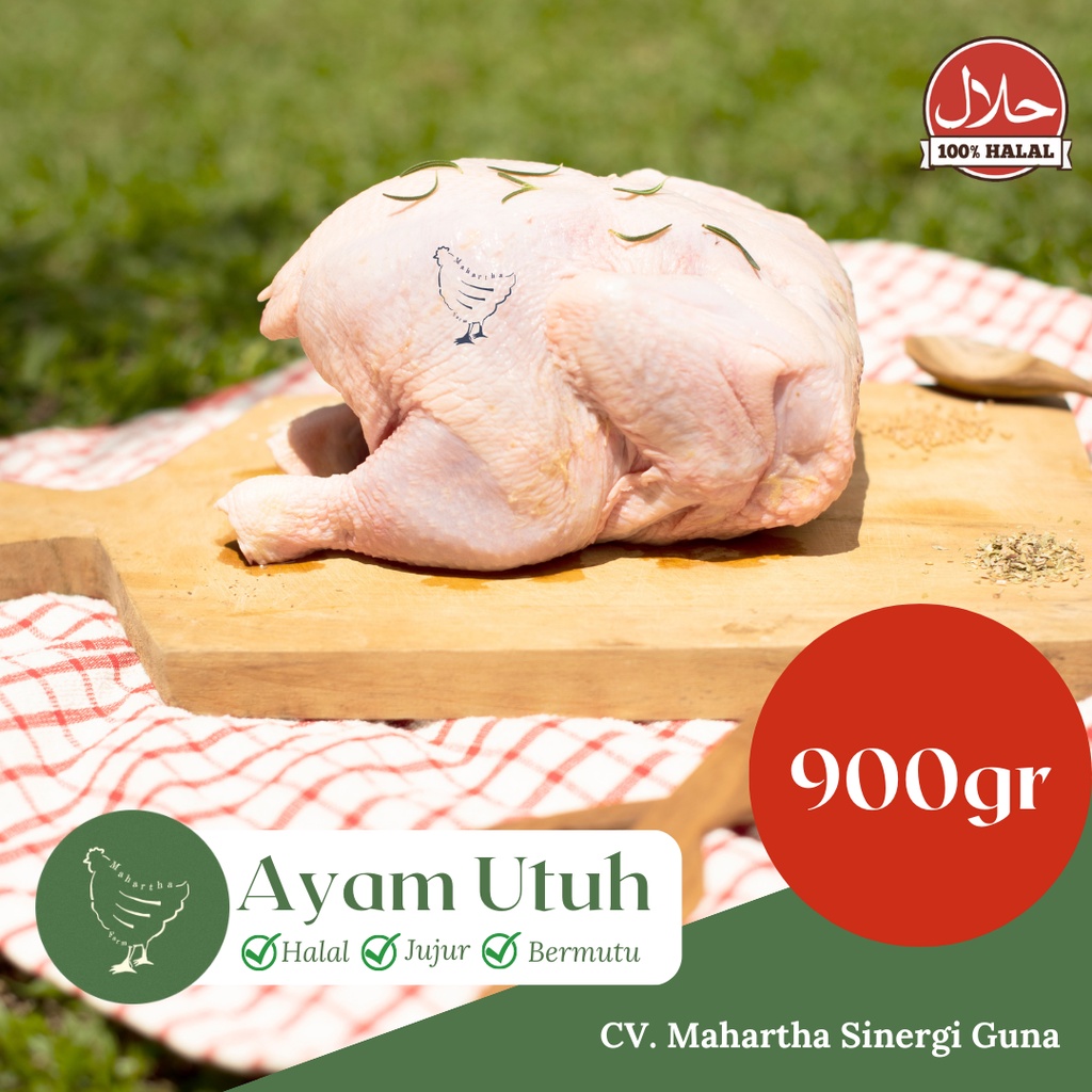 

Ayam Karkas/Utuh, Ayam Broiler Utuh Ukuran 900-999 gram
