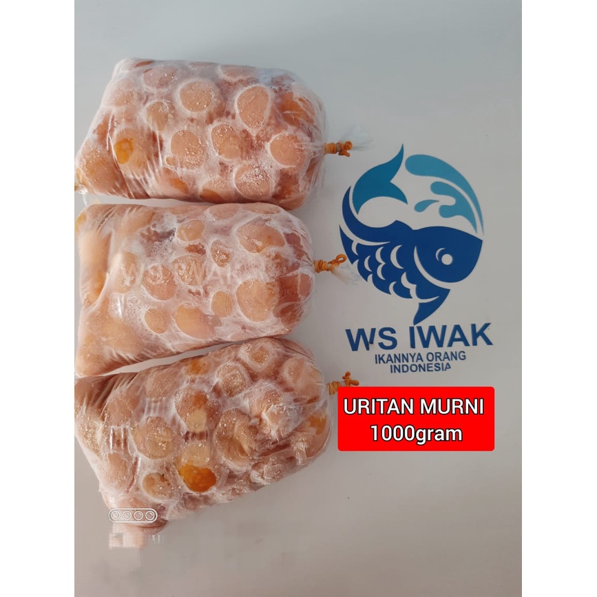 

TELUR MUDA / URITAN MURNI 500GR