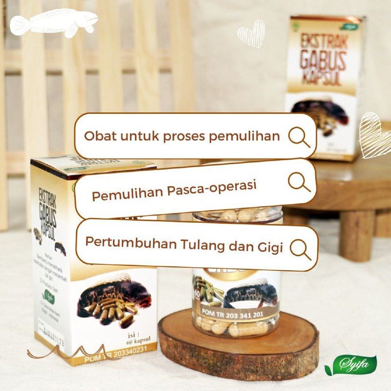 Kapsul Ekstrak Sari Ikan Kutuk Gabus Albumin Untuk Obat Penyembuh Pengering Luka Bakar Diabetes Jahitan Sunat Pasca Melahirkan Operasi Cesar Caesar