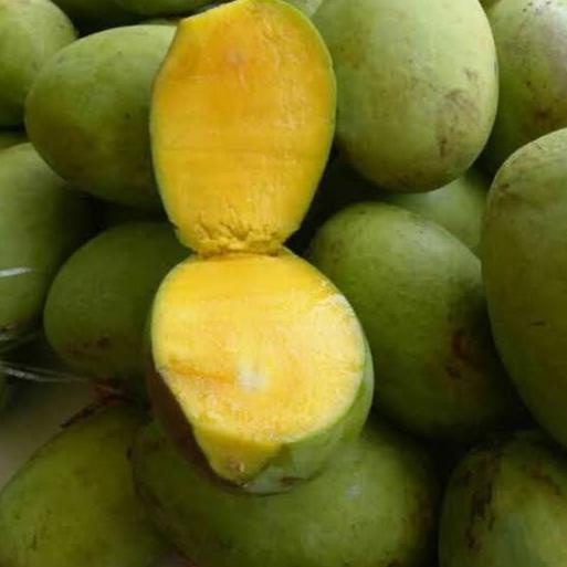 

❀ Mangga Kweni 1 Kg Segar Fresh ➵