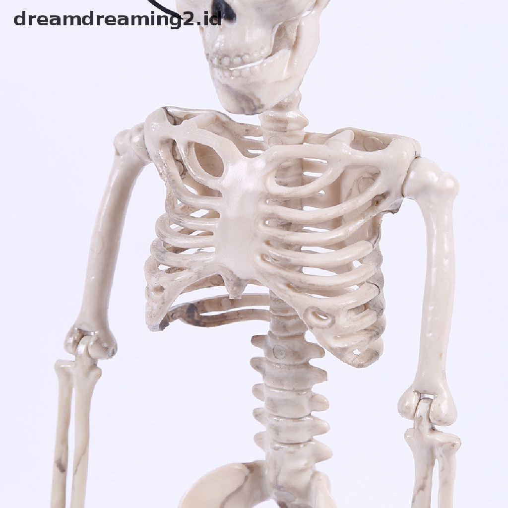 (dream) Kerangka Posable Halloween Decor Mengerikan Tulang Pria Merayap Dekorasi Pesta.