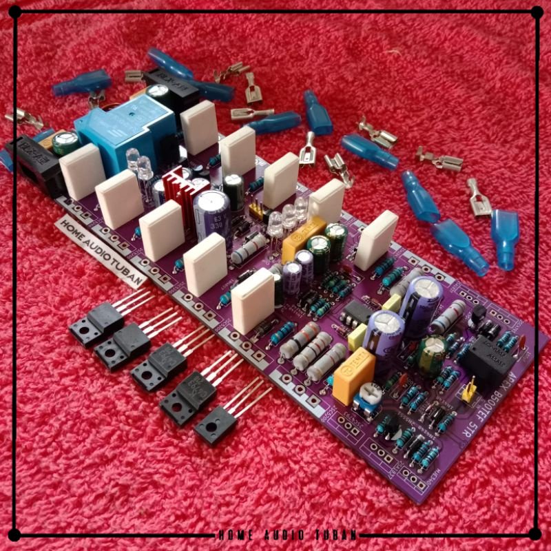 Kit Driver Amplifier APEX B500 TEF 2U plus PROTEKTOR DOBEL LAYER