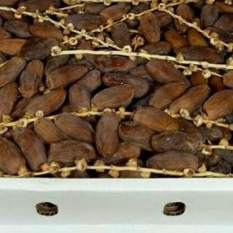 

☁ Kurma fruit Tunisia tangkai ukuran 1kg exp2024 ➮