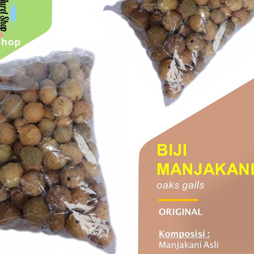 

▲ Biji Manjakani Kering 250gr, 500gr, 1kg (oak galls) ℗