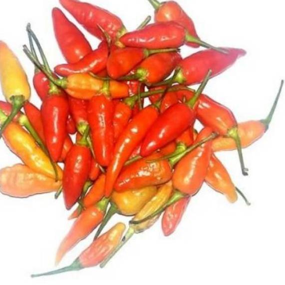 

◘ Cabe / cabai rawit merah - 500gram ❇