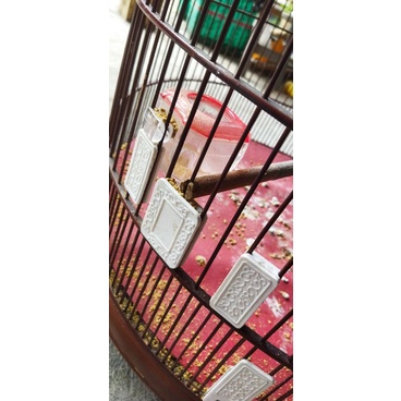 stoper sangkar murai