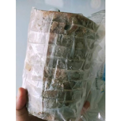 

DAGING SAPI WAGYU PREMIUM STEAK MURAH BANDUNG H65464UJ