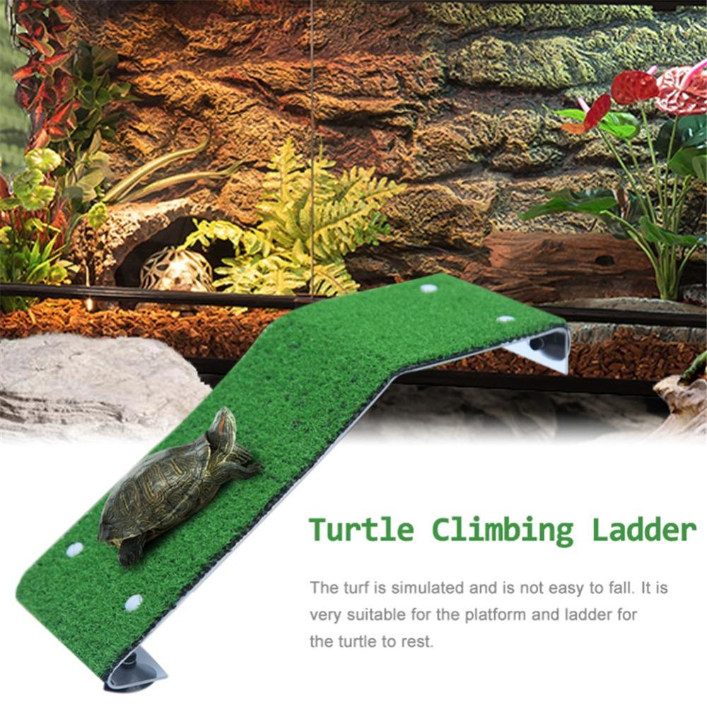 Solighter Turtle Basking Platform Simulasi Platform Pengeringan Beristirahat Mengambang Pulau Lumut