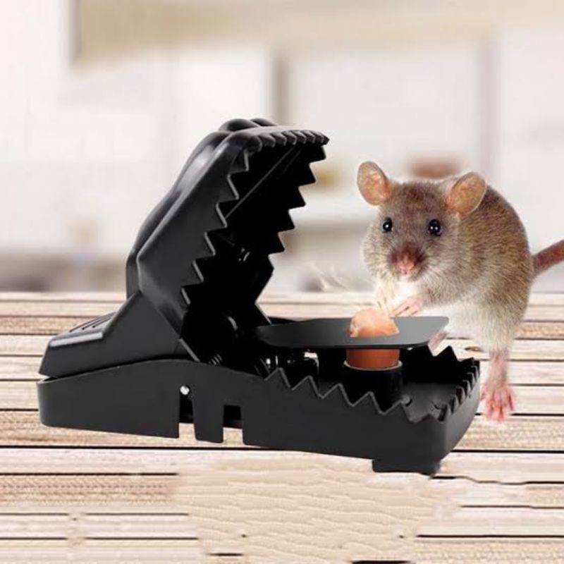 Perangkap tikus / jebakan tikus super ampuh / jebakan tikus jepit