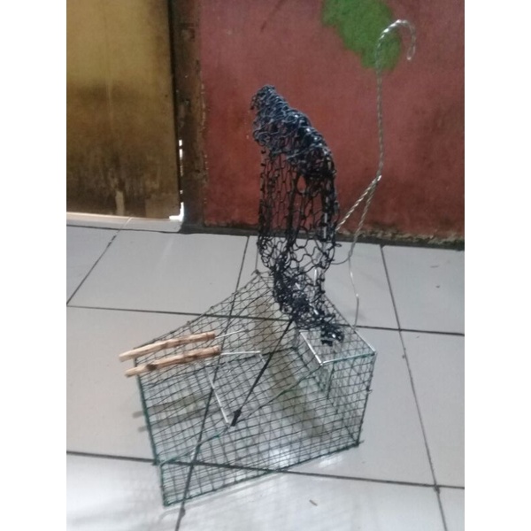 Sangkar burung jebak trap jaring