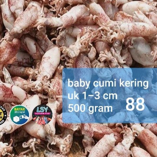 

♔ ikan asin baby cumi / cumi rebus kering 88 berat 500gram ✥