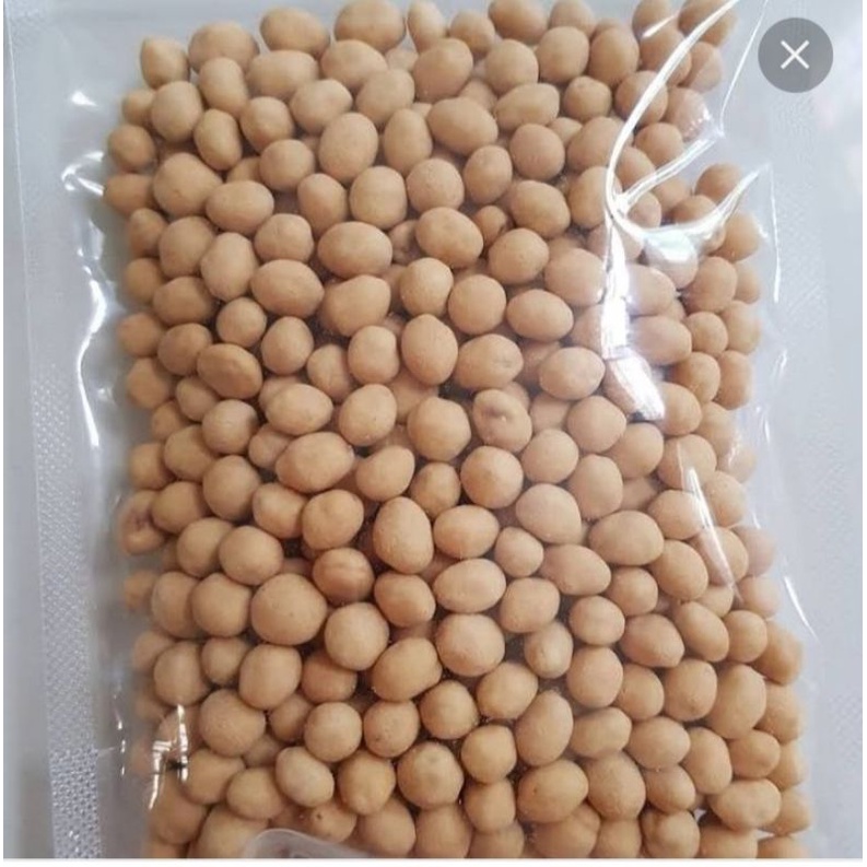 

Kacang telur