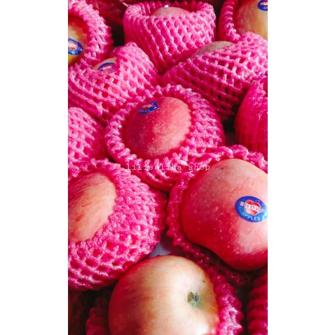 

APEL FUJI IMPORT PERKG