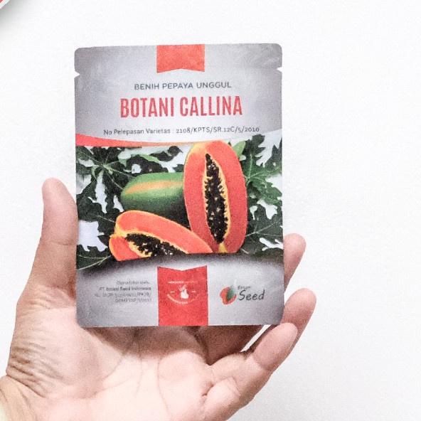 ➥ benih pepaya california asli IPB isi 150 terbaru ✰
