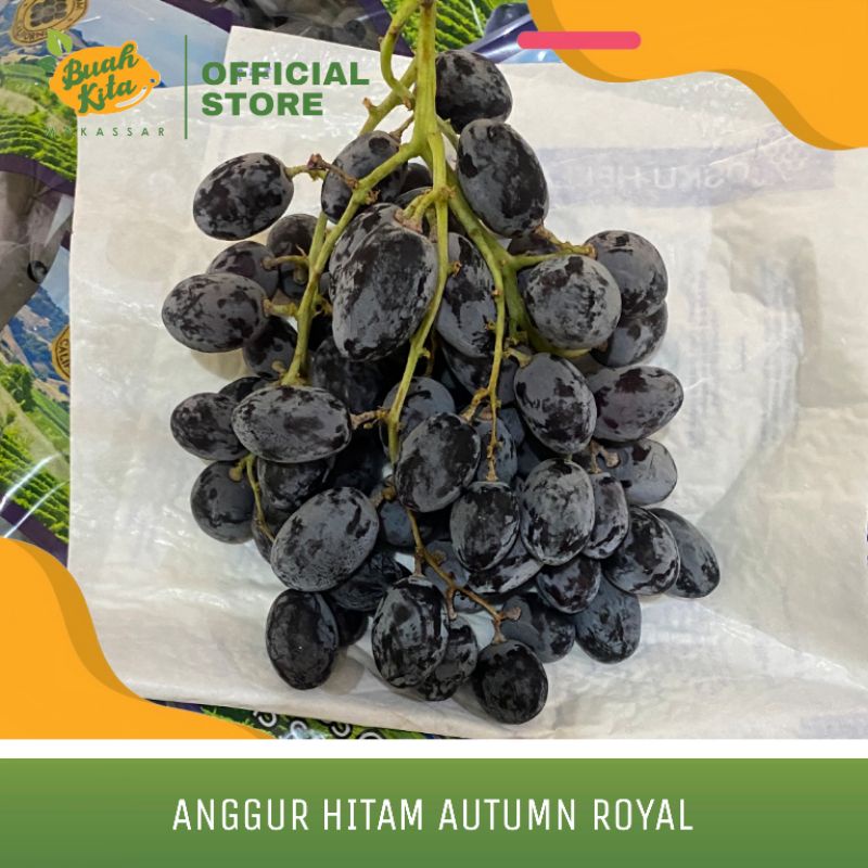 

ANGGUR HITAM AUTUMN ROYAL IMPORT