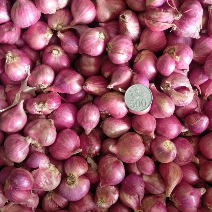 

Bawang Bawang Merah Brebes Super Per 1 Kg