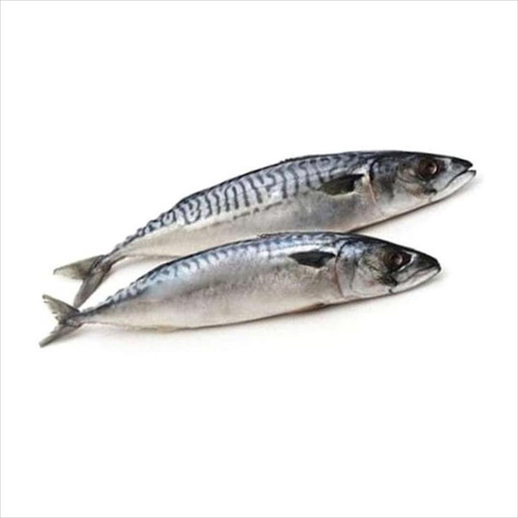 

IKAN MAKAREL / SALEM / SARDEN 500 GR