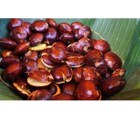 

☛ Jengkol Mentah Super Tua Fresh Segar Murah Meriah ❈