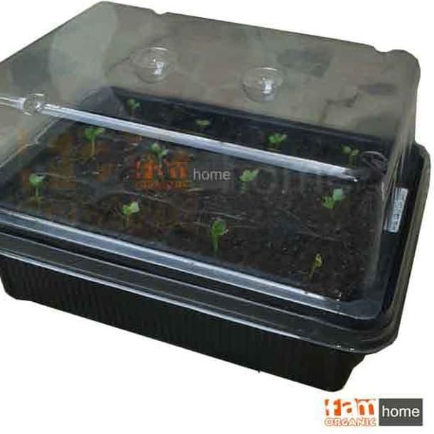 ・ Mini Greenhouse v Model Keren . BEST SELLER