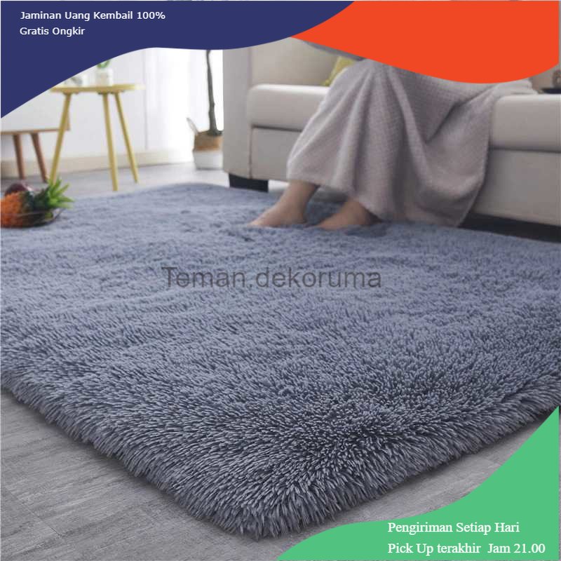 TD - DPR DRESHOME Karpet Matras Bulu Non-Slip Living Room Rug 60x120cm - DE2002