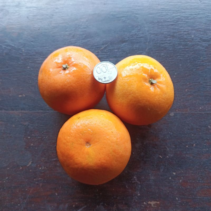 

Jeruk Mandarin Murcot