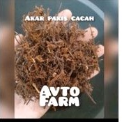 akar pakis cacah media tanam anggrek