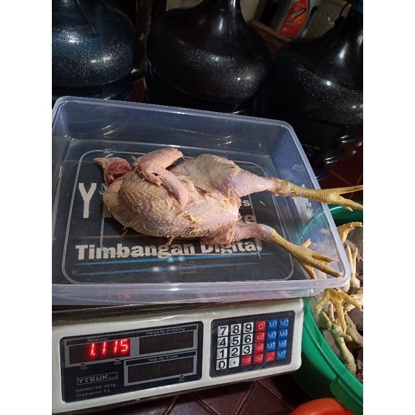 

Ayam Karkas 1 kg