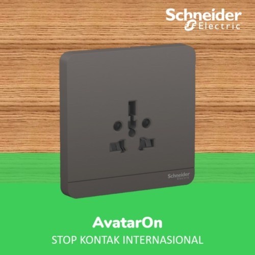 Schneider Electric Avatar On Dark Grey StopKontak International DG