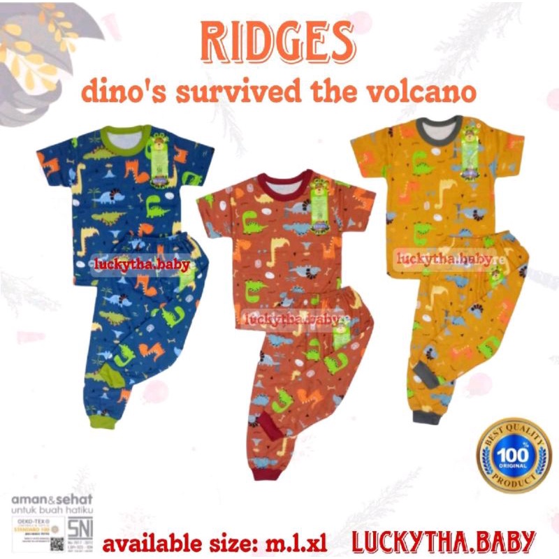 Setelan Ridges CPR Dino survived the volcano / setelan anak ridges baby wear/ setelan anak harian