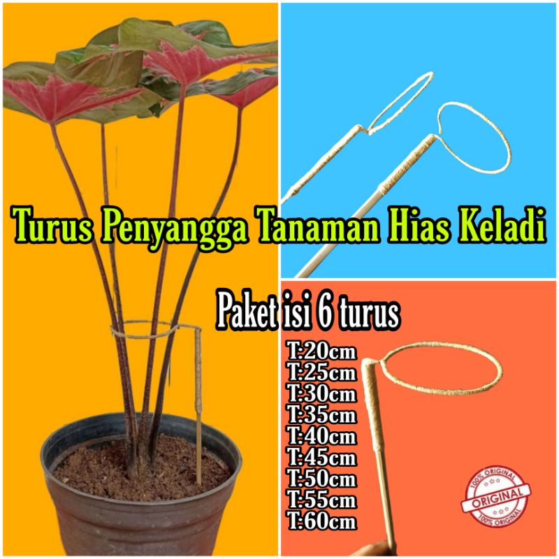 (Paket isi 6 turus) Turus Penyangga Tanaman Keladi/Alocasia Ajir Tanaman Turus Ring Bulat