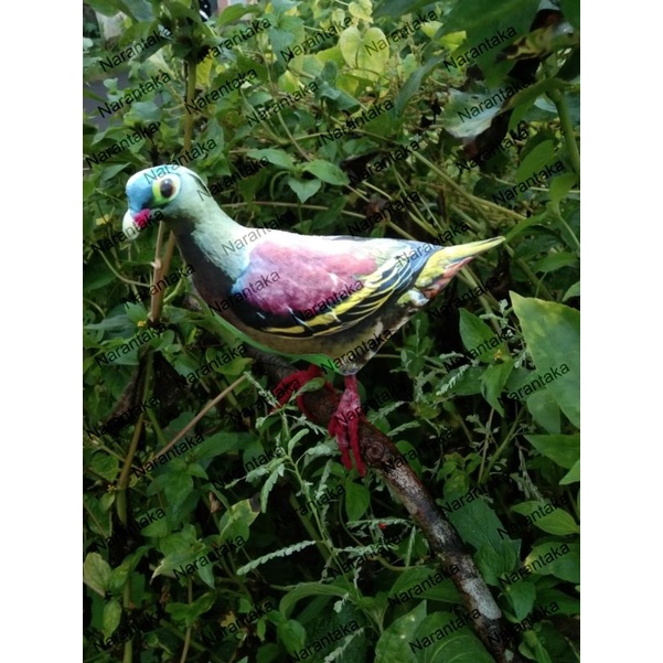 Jontrot Patung Burung Punai Bakau