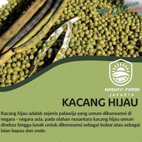 

Kacang Hijau / Ijo 250 500 gr 1 kg