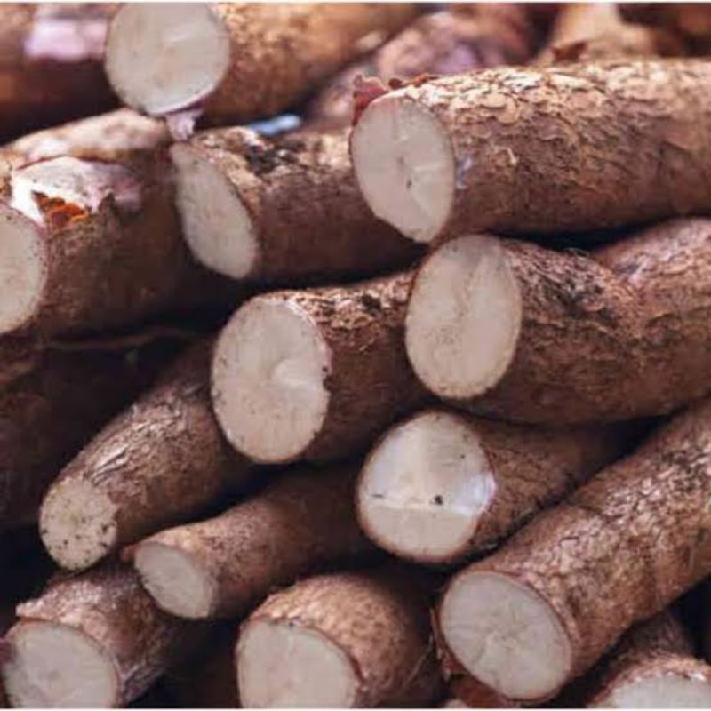 

Ubi Kayu/Singkong/Cassava 1 kg (sayuran segar)