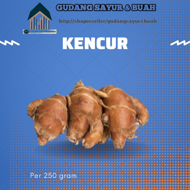 

Kencur 250 Gram