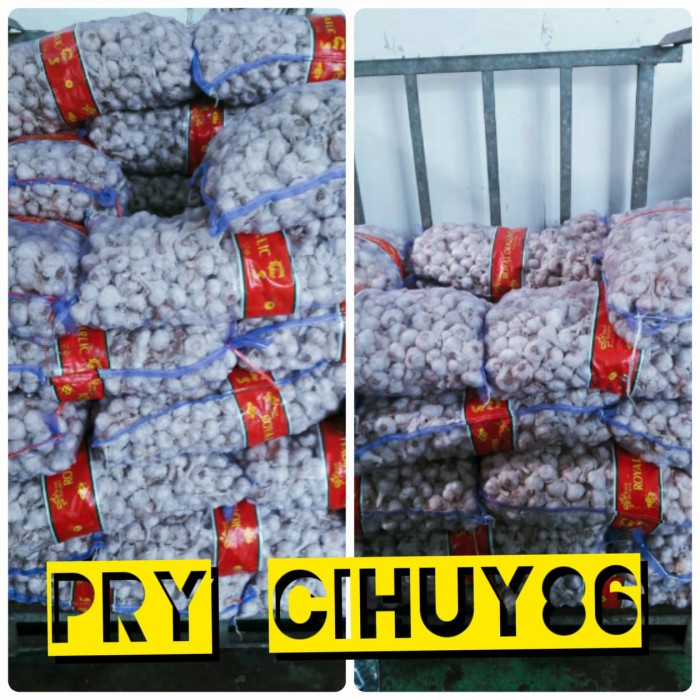 

Bawang Bawang Putih Kating Import"Royal Dragon Garlic" 20Kg/Karung