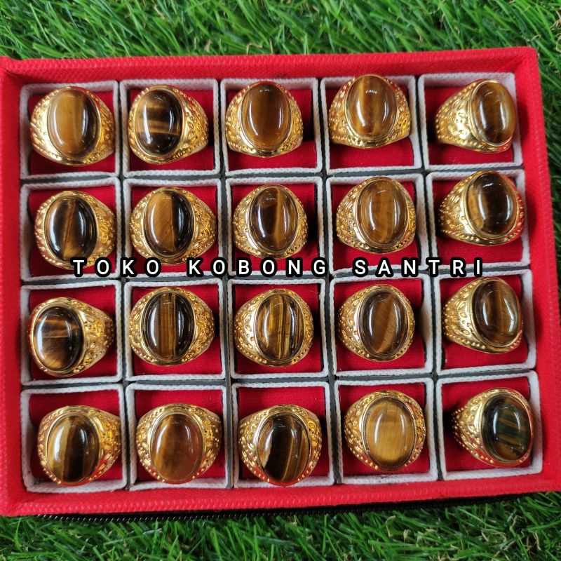 Cincin Batu Akik Macan Lodaya  (N)