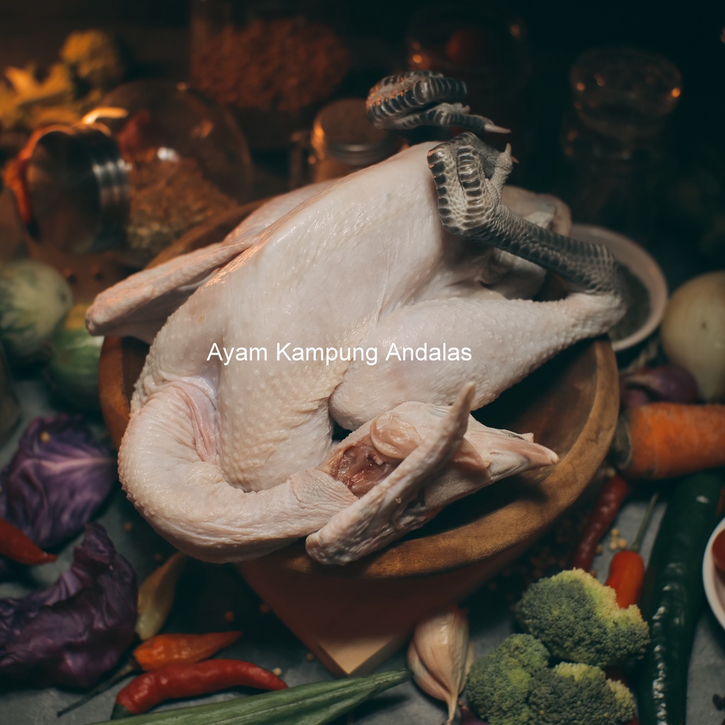 

Ayam Kampung Asli Frozen Fresh Sehat Alami