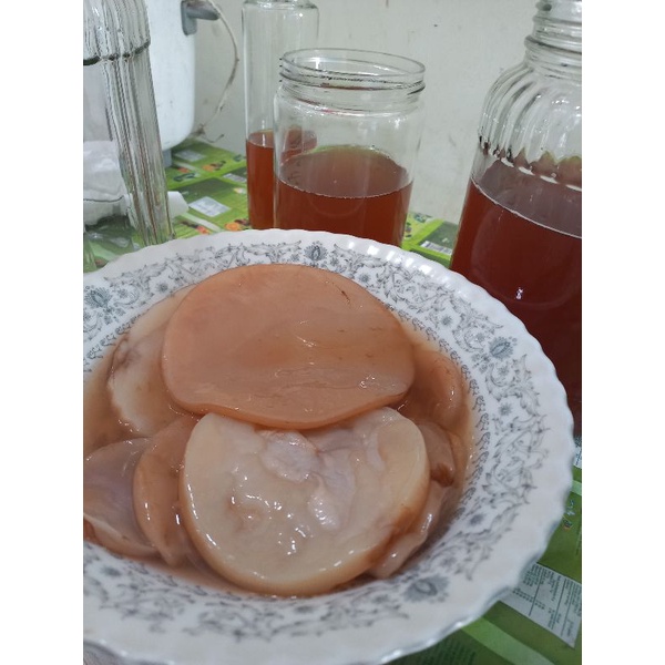 Scoby Kombucha