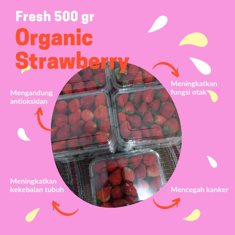 

Stoberi / Strawberry Fresh Organik 500 gram