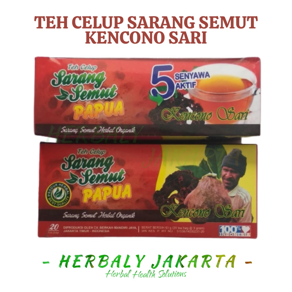 

Teh Celup Sarang Semut Papua Kencono Sari 100% Original Kencono Sari 20 sachet