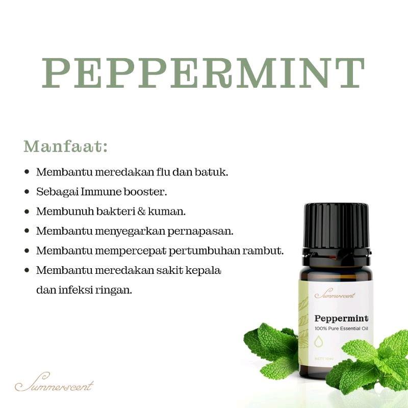 BELI 3 GRATIS 1 HUMIDIFIER ESSENSIAL OIL AROMATHERAPY 10ML (WARNA HUMIDIFIER RANDOM)