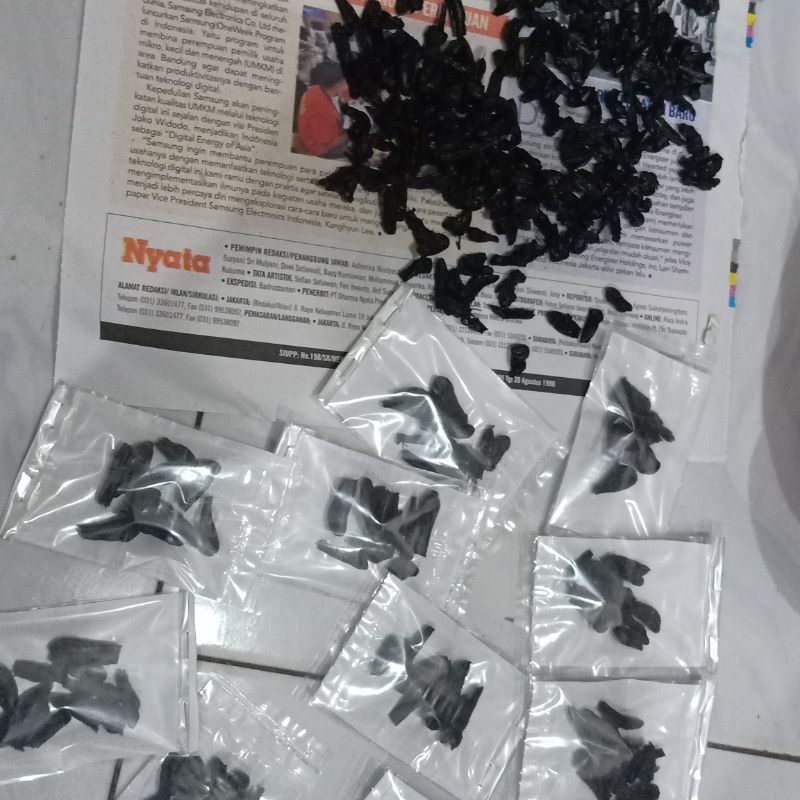 Empedu Ular Cobra Asli Kering Ibu Aminah