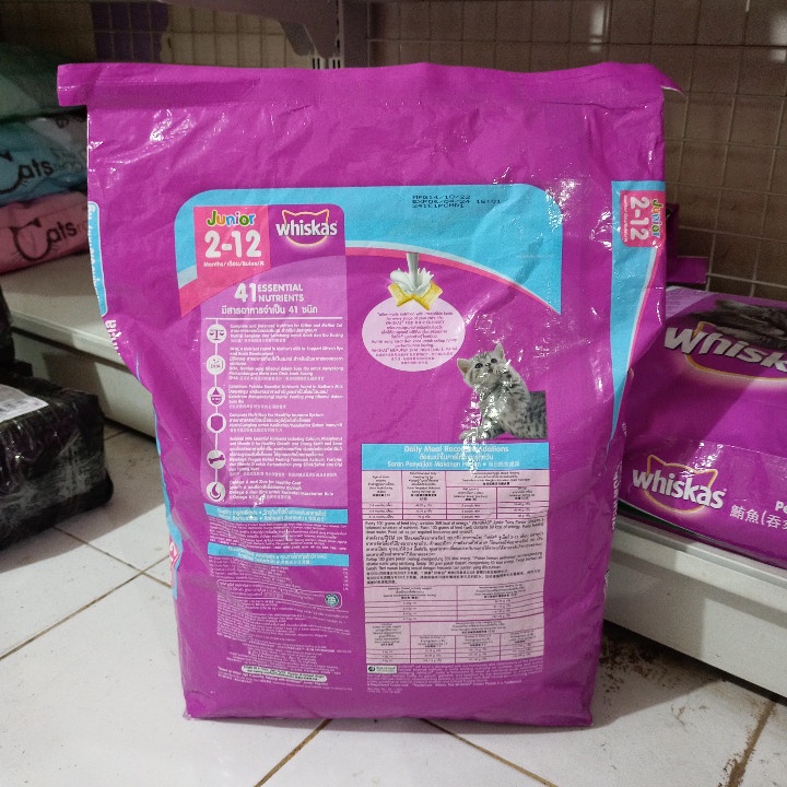 EXPEDISI Makanan Kucing Whiskas Junior Ocean Fish Flavour Kemasan 6,5KG / Whiskas Junior Oceanfish Flavour