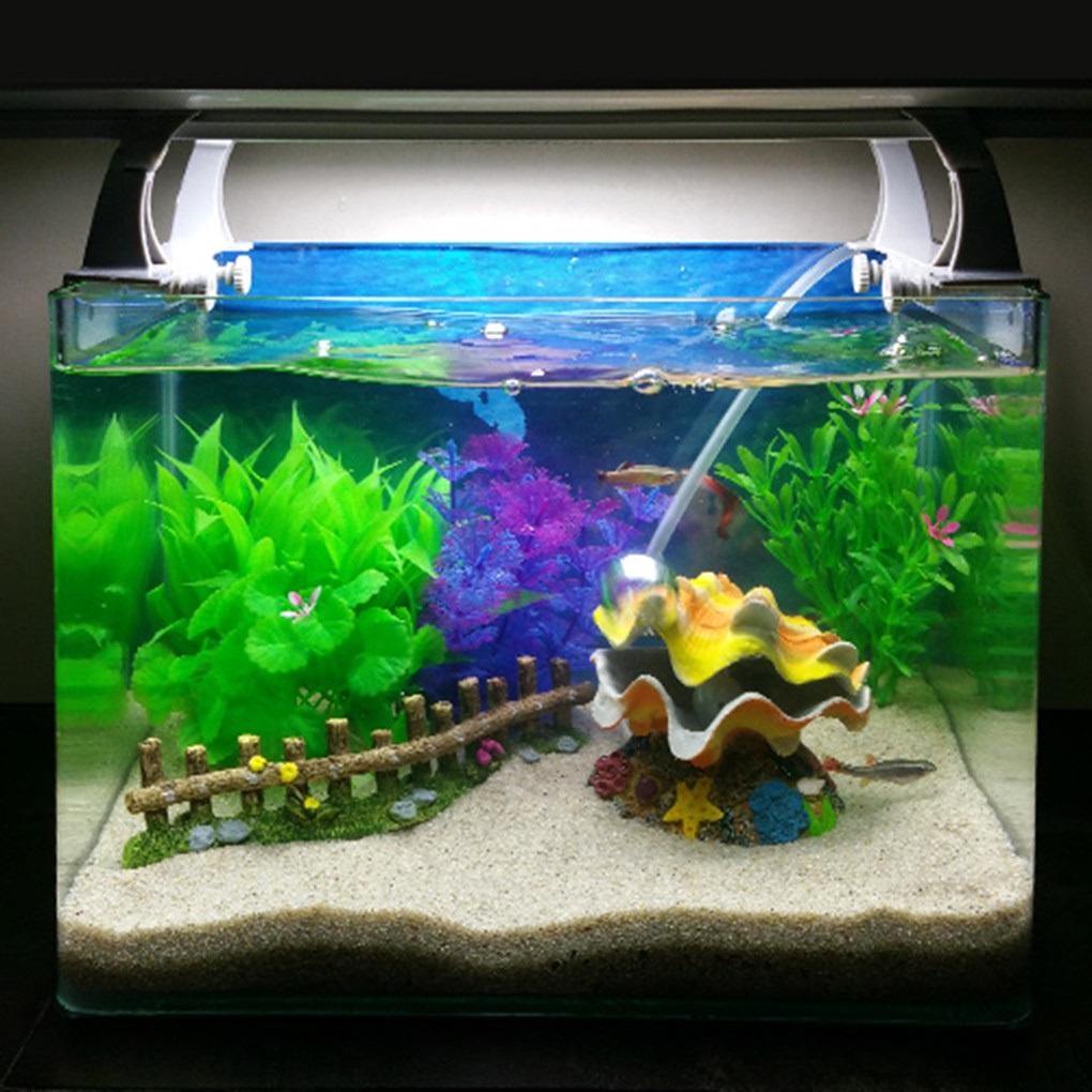 Harga Ornamen Aquarium Kerang Terbaru Jul 2025 | BigGo Indonesia