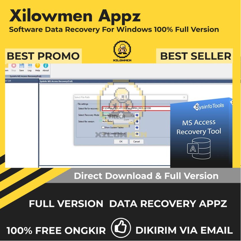 [Full Version] SysInfoTools MS Access Recovery Pro Lifetime Data Recovery WIN OS